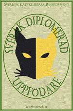 diplomeringslogo webb